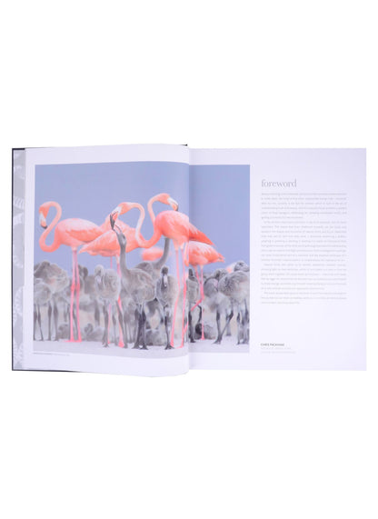 Chris Packham: The Science of Animals