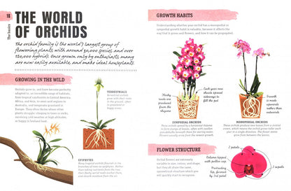 Sara Rittershausen: Happy Orchid