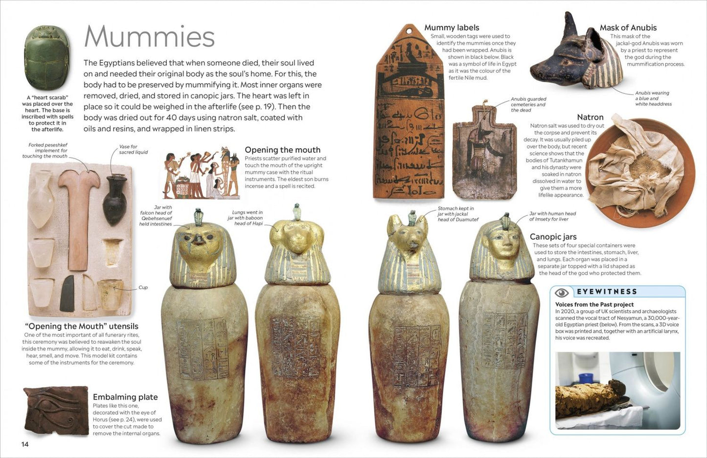 George Hart: Ancient Egypt
