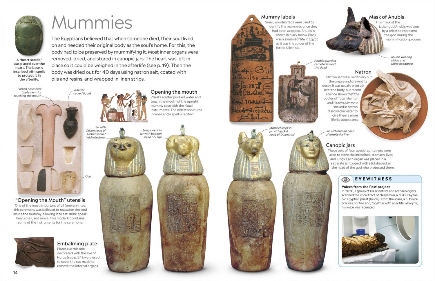 George Hart: Ancient Egypt