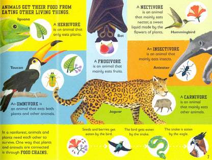 Charlotte Milner: The Rainforest Book