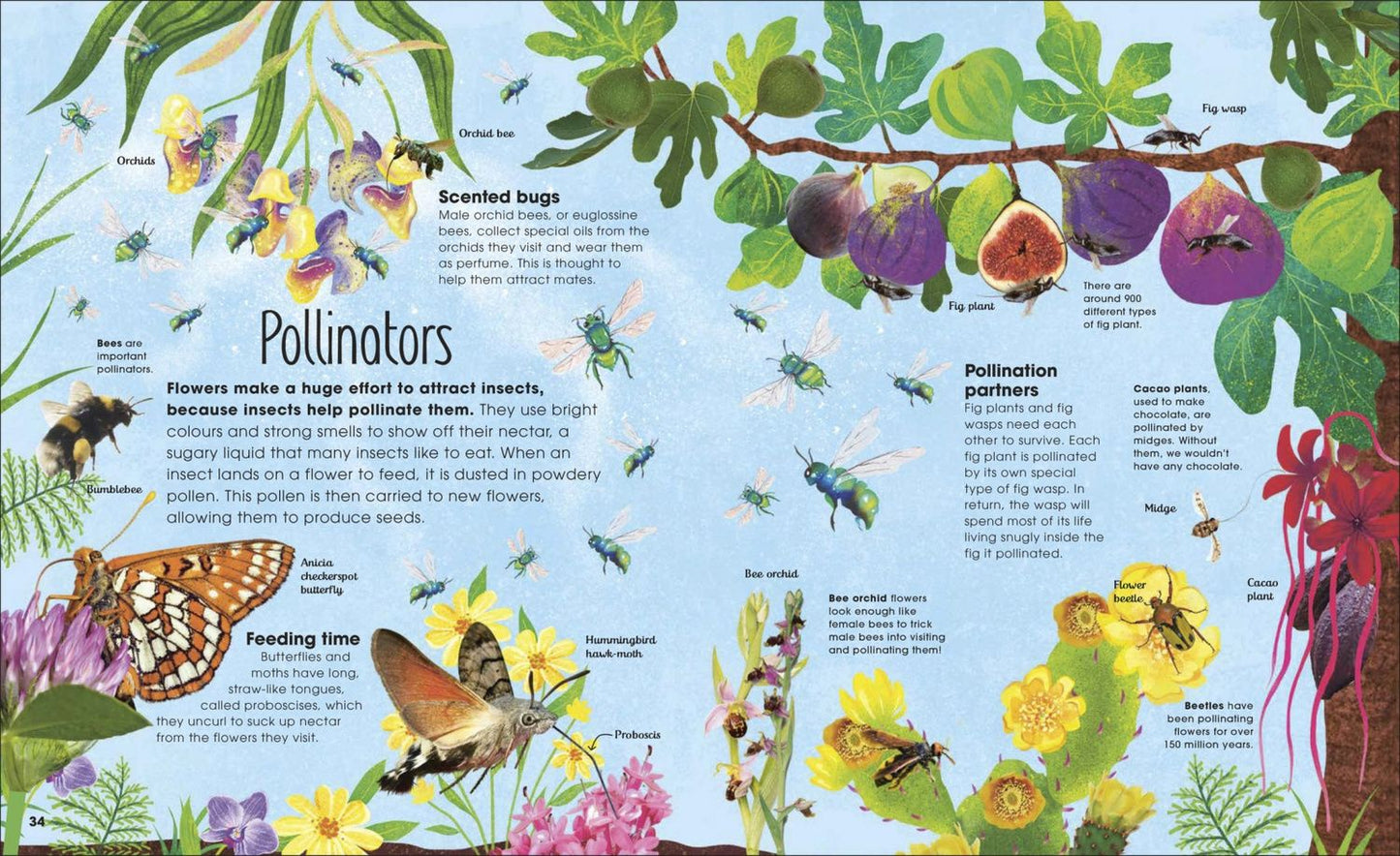 Jess French: The Book of Brilliant Bugs