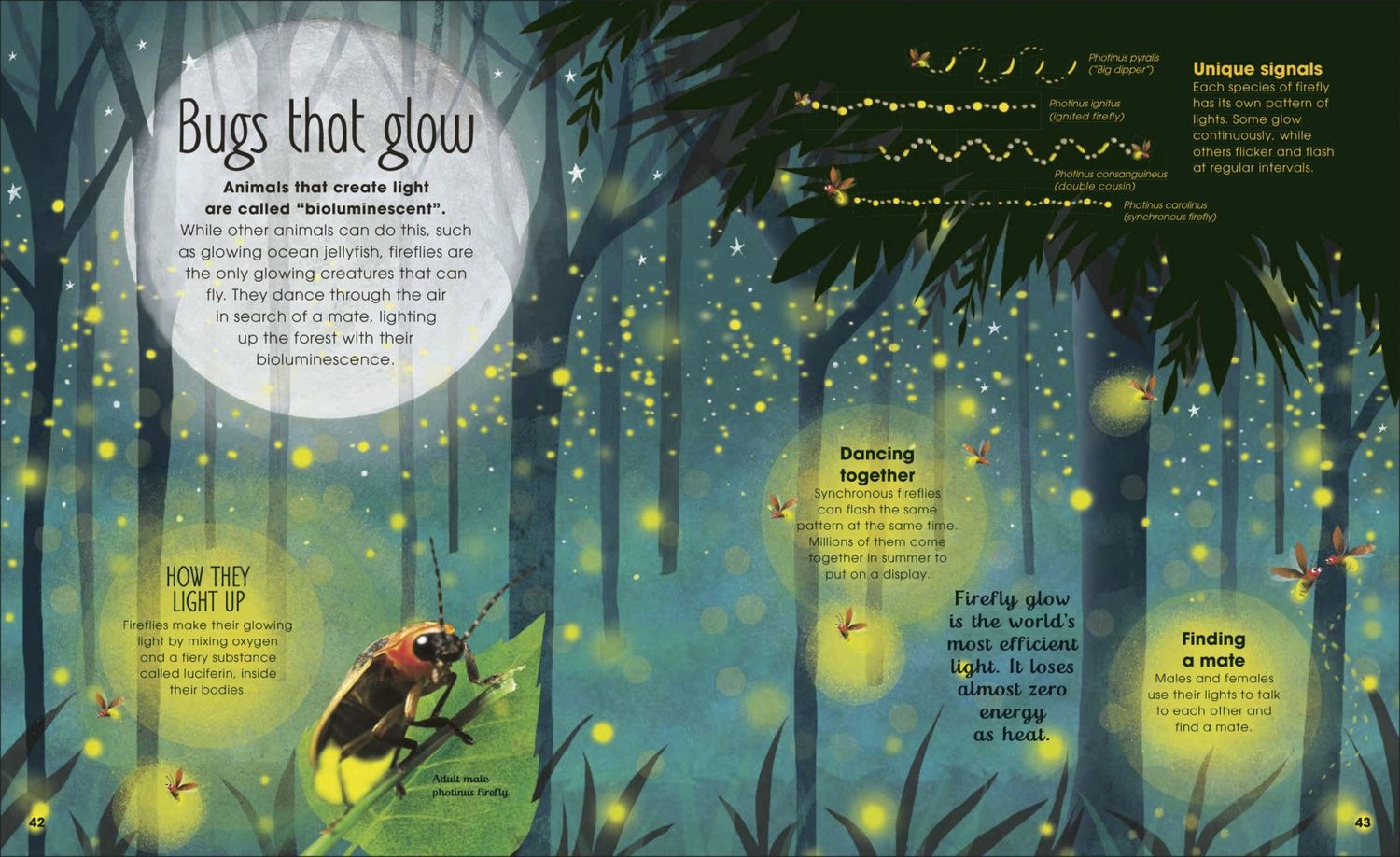 Jess French: The Book of Brilliant Bugs