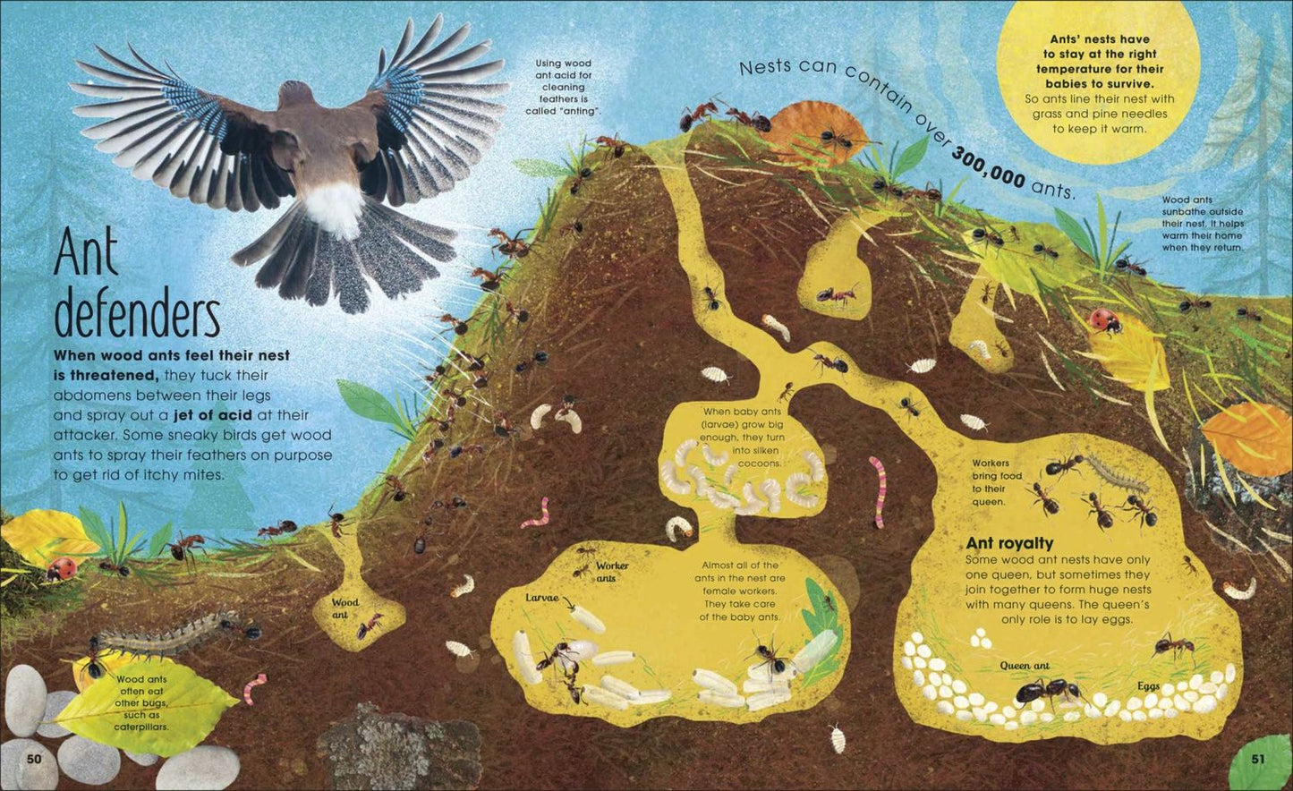 Jess French: The Book of Brilliant Bugs