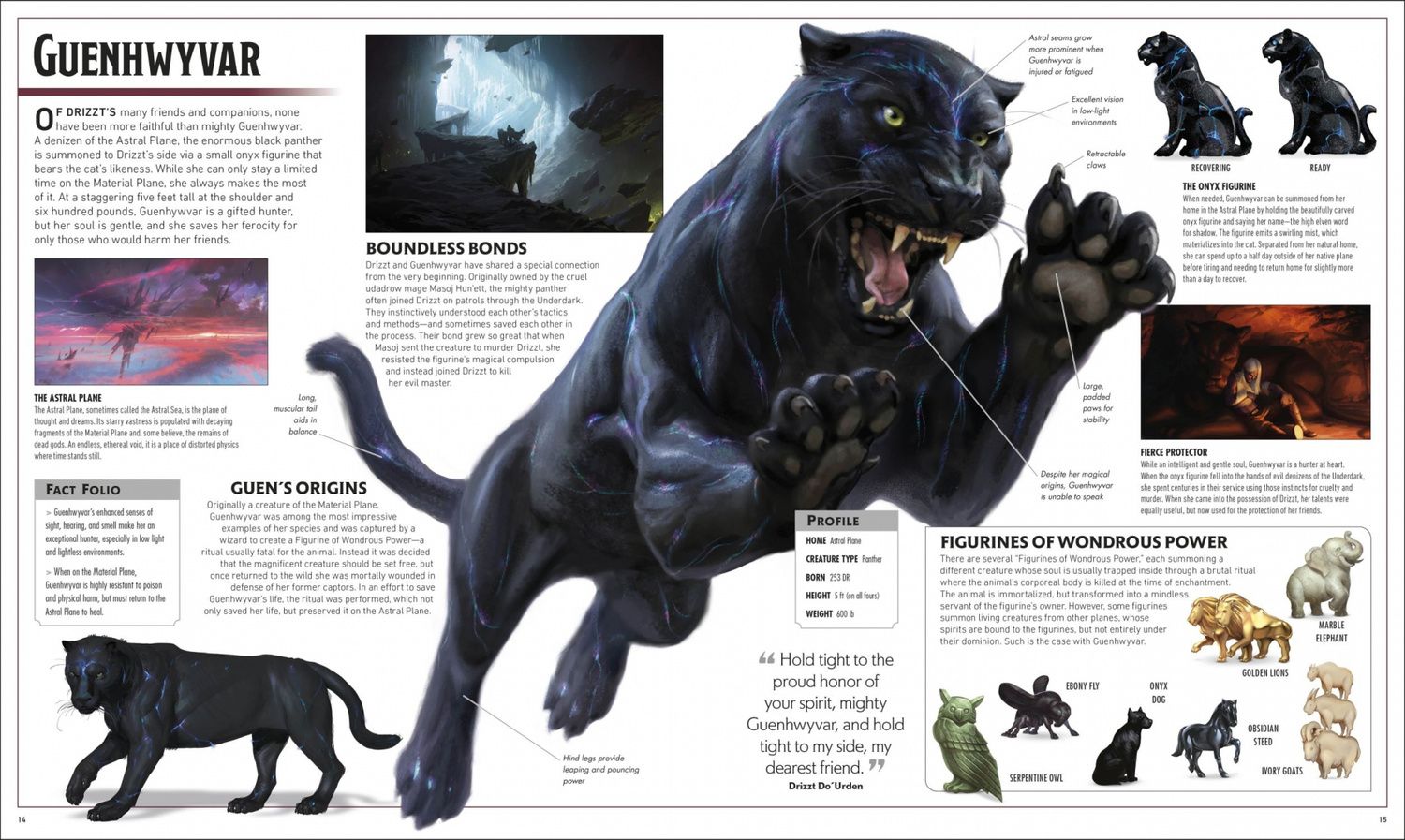 Michael Witwer: Dungeons & Dragons The Legend of Drizzt Visual Dictionary