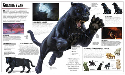 Michael Witwer: Dungeons & Dragons The Legend of Drizzt Visual Dictionary