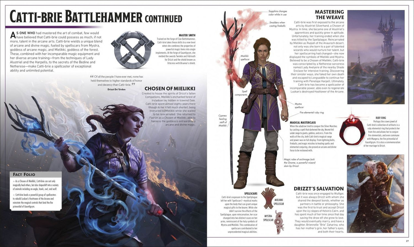 Michael Witwer: Dungeons & Dragons The Legend of Drizzt Visual Dictionary