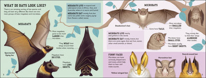 Charlotte Milner: The Bat Book