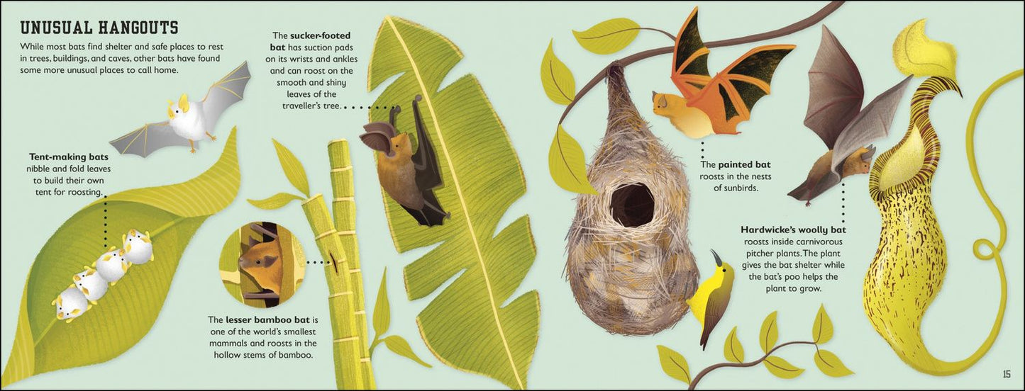 Charlotte Milner: The Bat Book