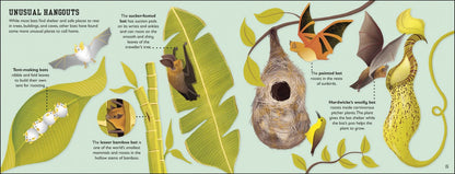 Charlotte Milner: The Bat Book