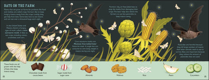 Charlotte Milner: The Bat Book