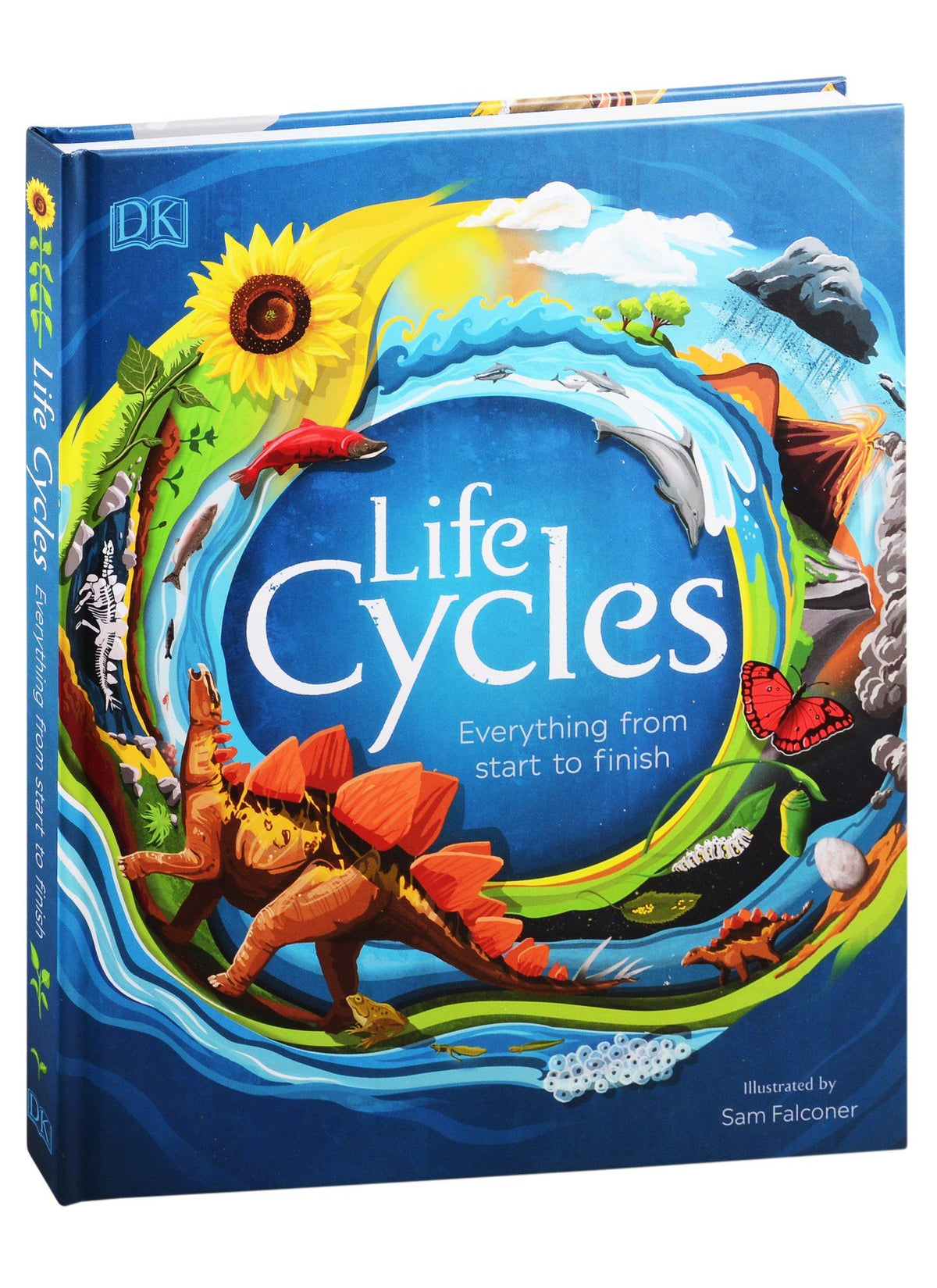 Steve Setford: Life Cycles