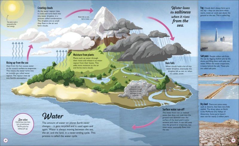 Steve Setford: Life Cycles
