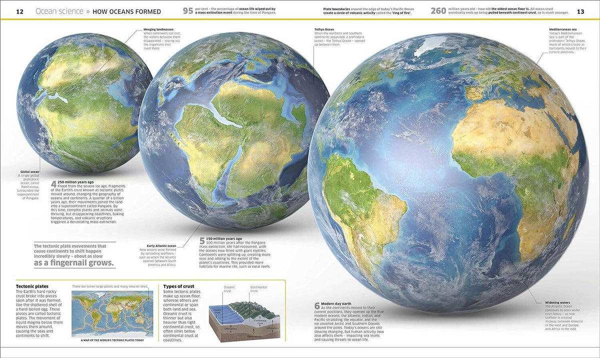 Knowledge Encyclopedia Ocean! Энциклопедия знаний Океан / Книги на английском языке