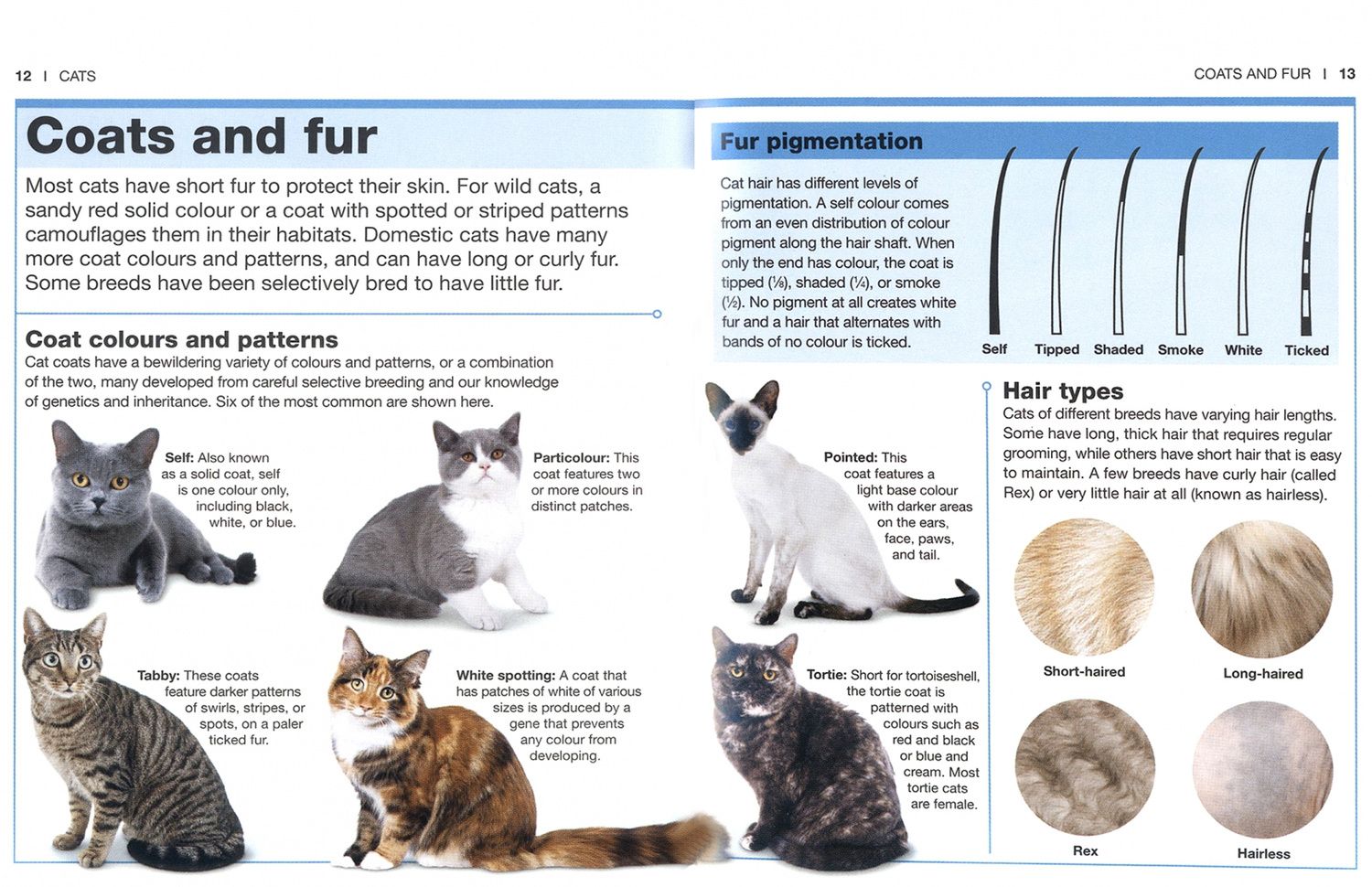 Cats