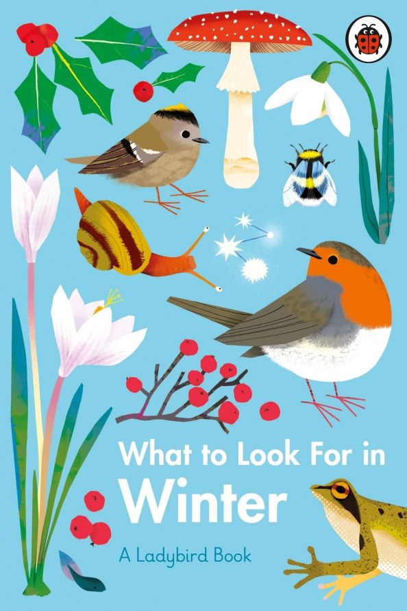 Elizabeth Jenner: What to Look For in Winter