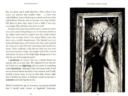 Mary Shelley: Frankenstein. Level 5 +audio