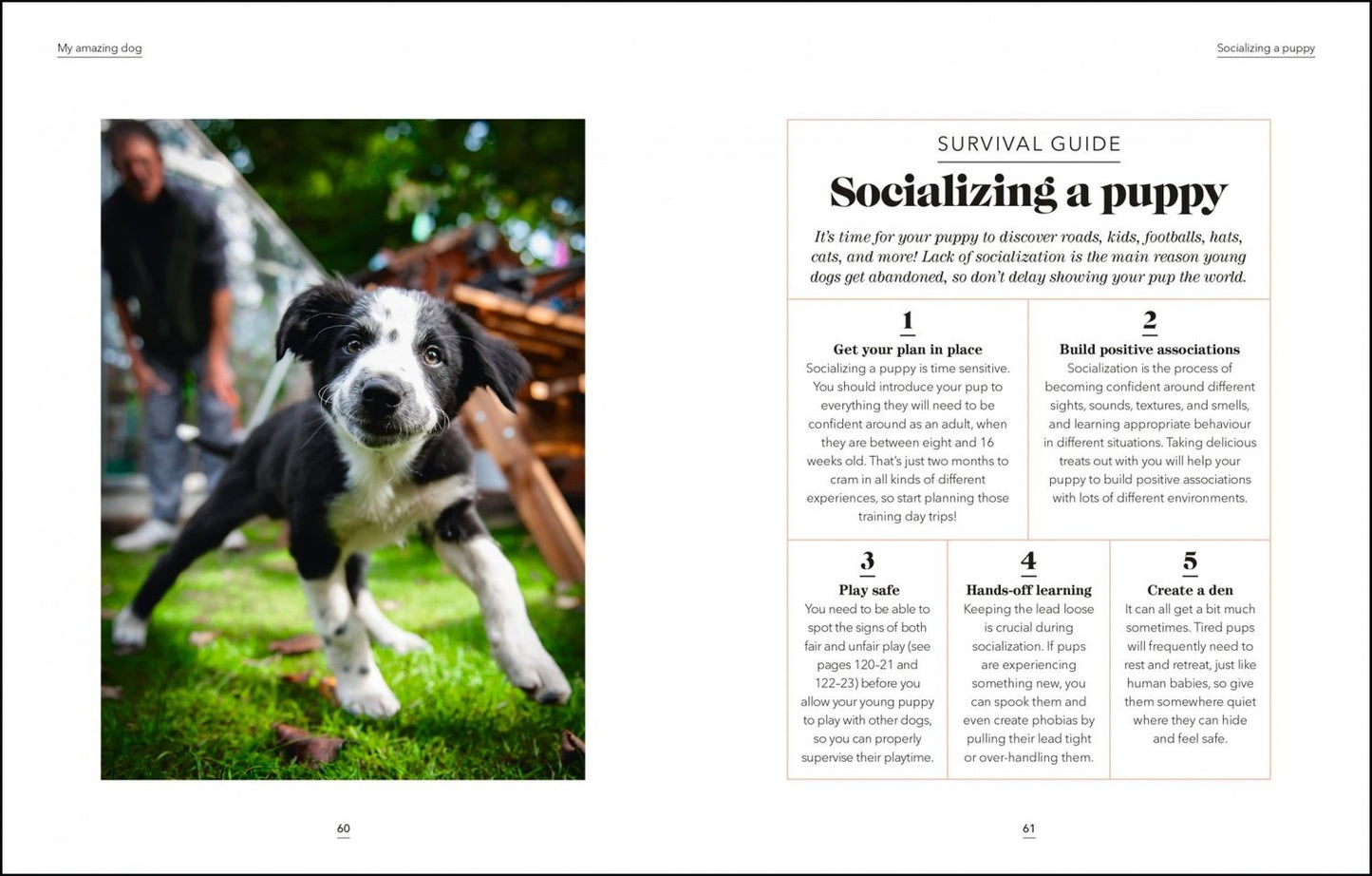 Hannah Molloy: What`s My Dog Thinking? Understand Your Dog to Give Them a Happy Life