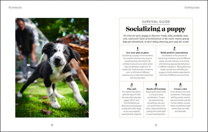 Hannah Molloy: What`s My Dog Thinking? Understand Your Dog to Give Them a Happy Life