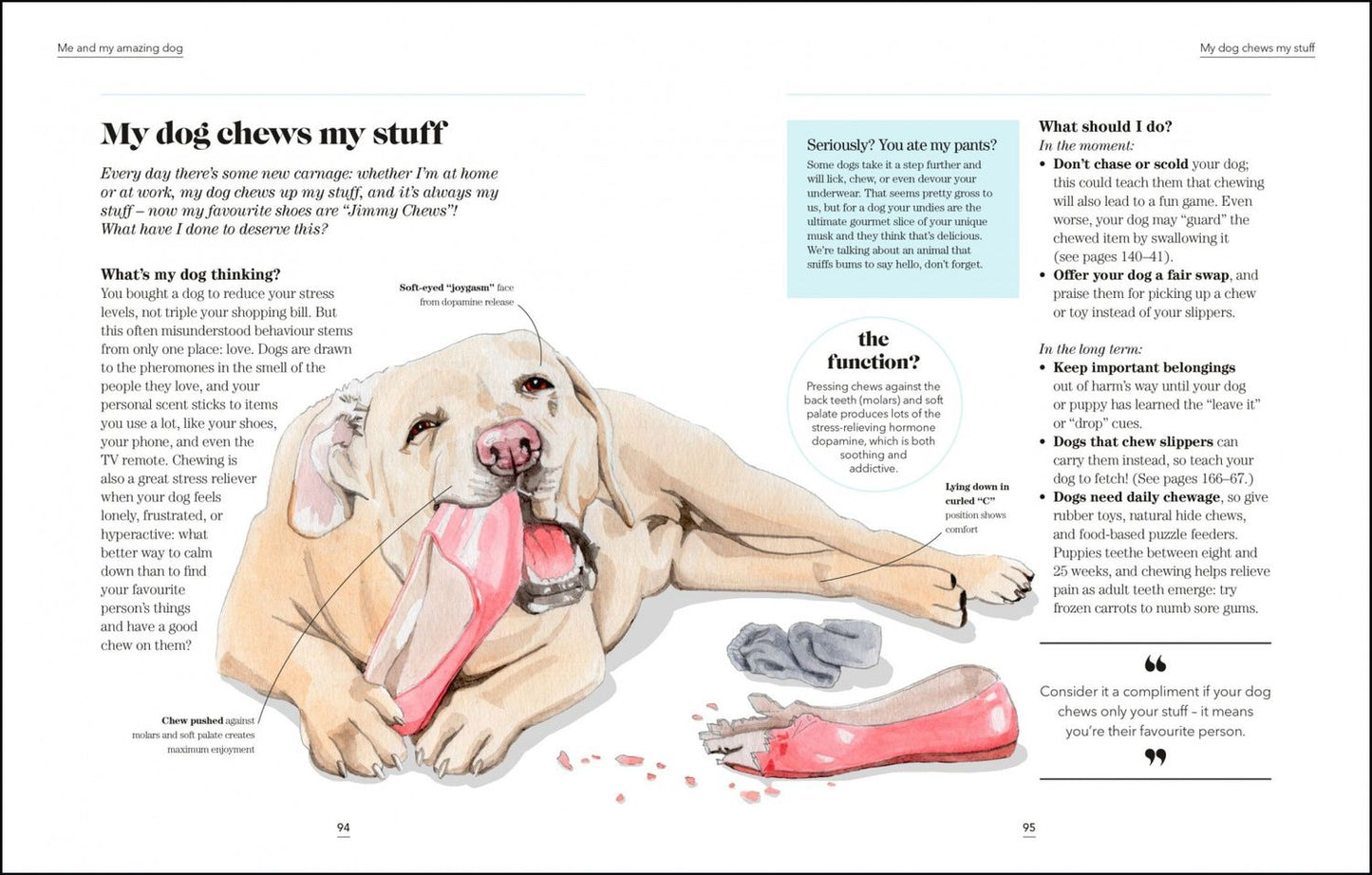 Hannah Molloy: What`s My Dog Thinking? Understand Your Dog to Give Them a Happy Life