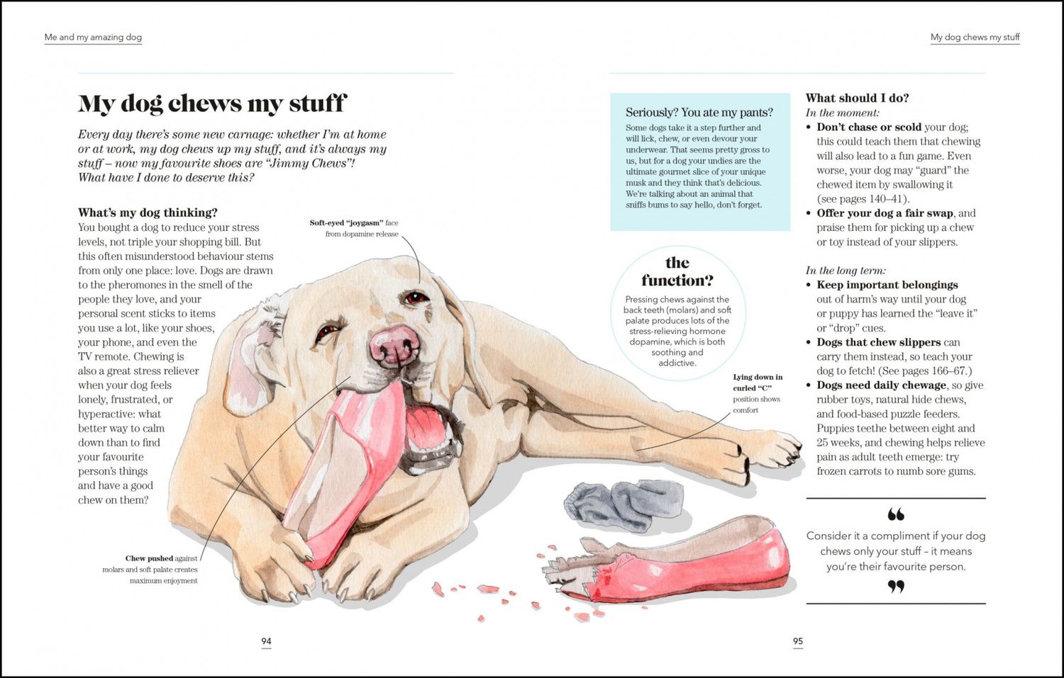Hannah Molloy: What`s My Dog Thinking? Understand Your Dog to Give Them a Happy Life