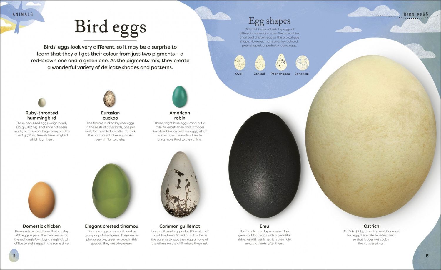 Ben Hoare: Nature's Treasures. Tales Of More Than 100 Extraordinary Objects From Nature