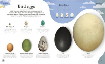 Ben Hoare: Nature's Treasures. Tales Of More Than 100 Extraordinary Objects From Nature