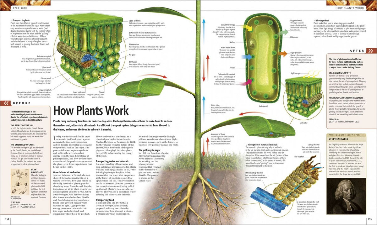 Science. The Definitive Visual Guide