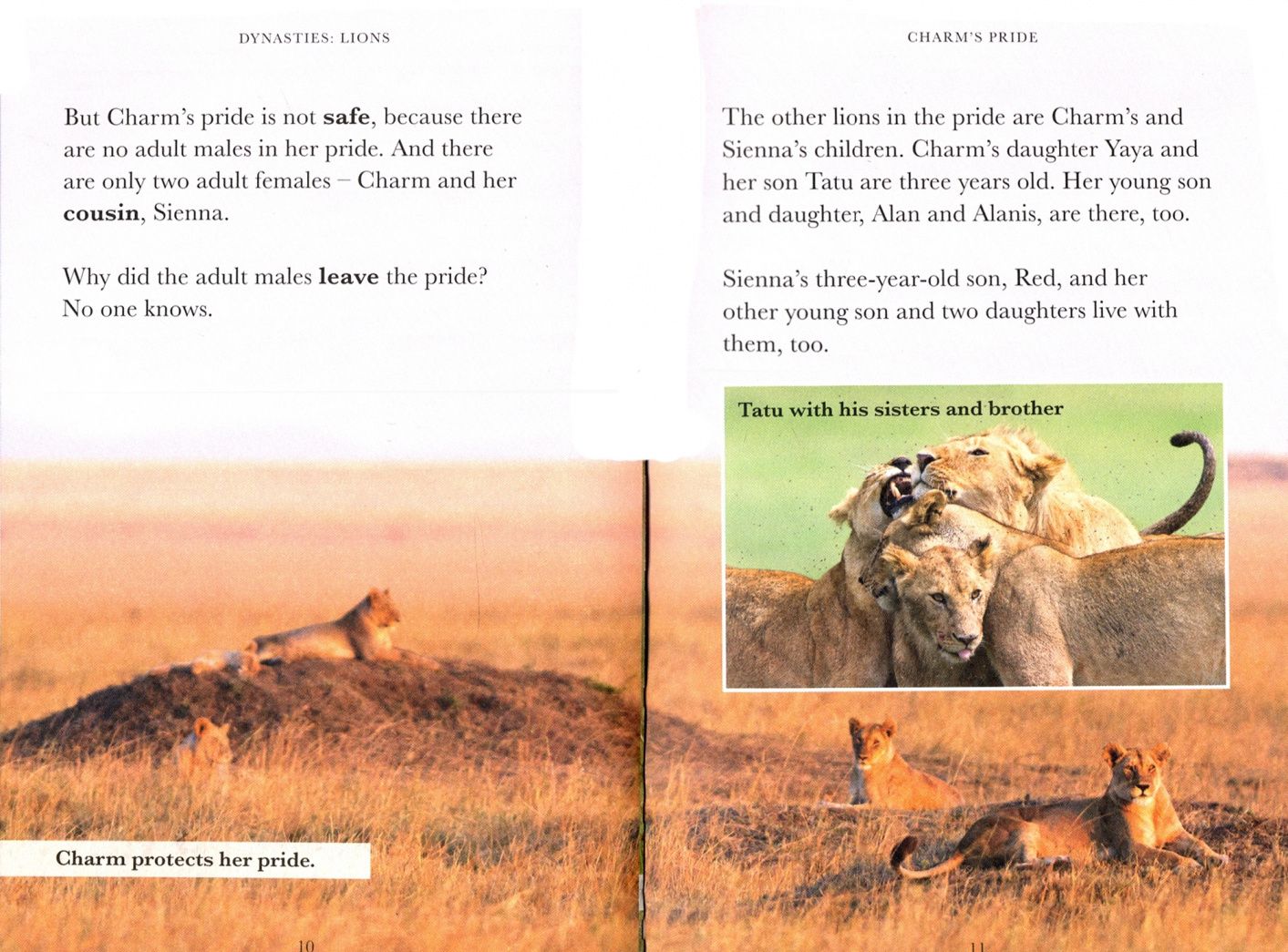 Stephen Moss: Dynasties. Lions. Level 1 +audio