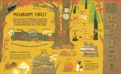 Lynne Boddy: Humongous Fungus