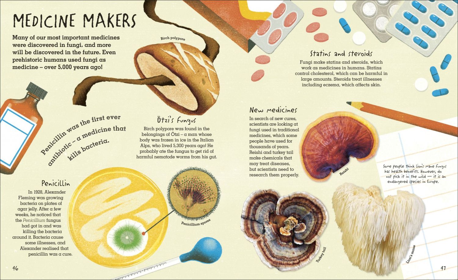 Lynne Boddy: Humongous Fungus