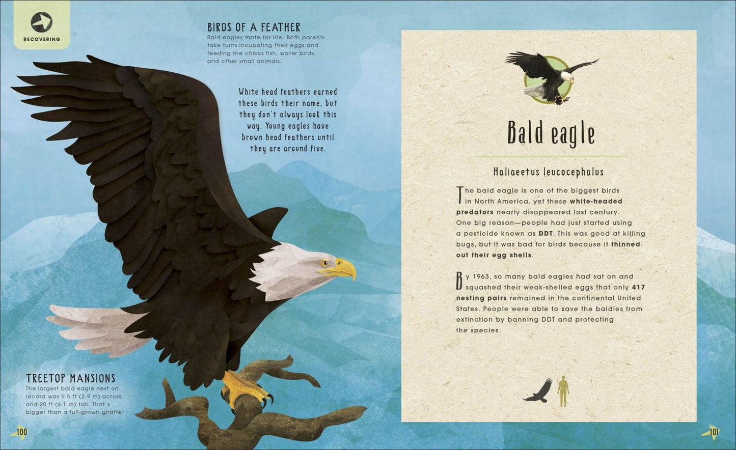 Jason Bittel: Animals Lost and Found. Stories of Extinction, Conservation and Survival