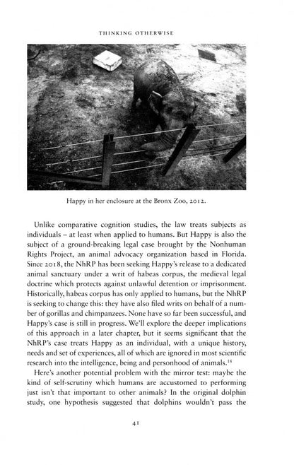 James Bridle: Ways of Being. Beyond Human Intelligence
