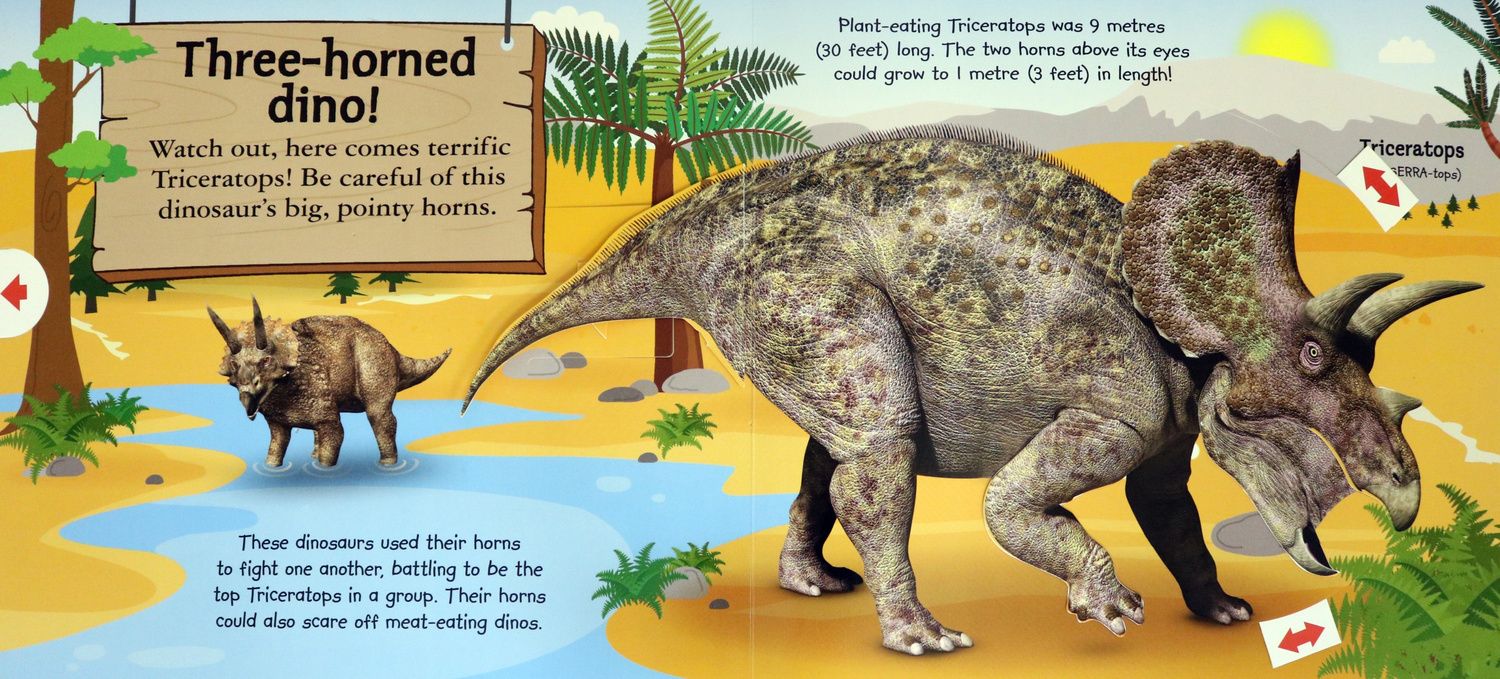 My Terrific Dinosaur Book