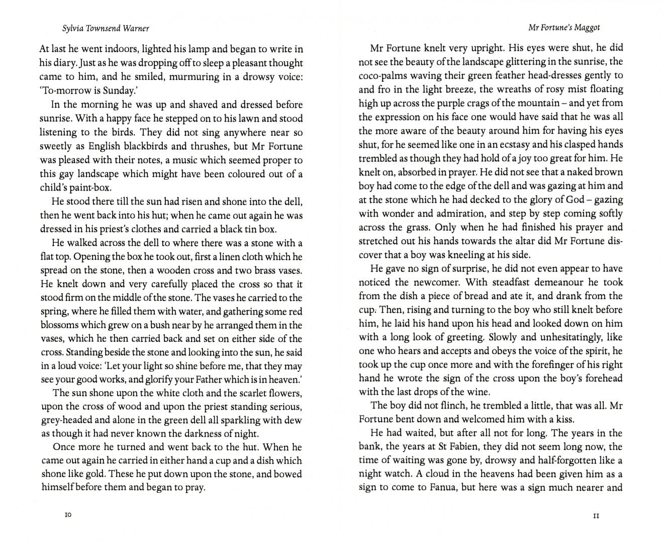 Warner Townsend: Mr Fortune's Maggot