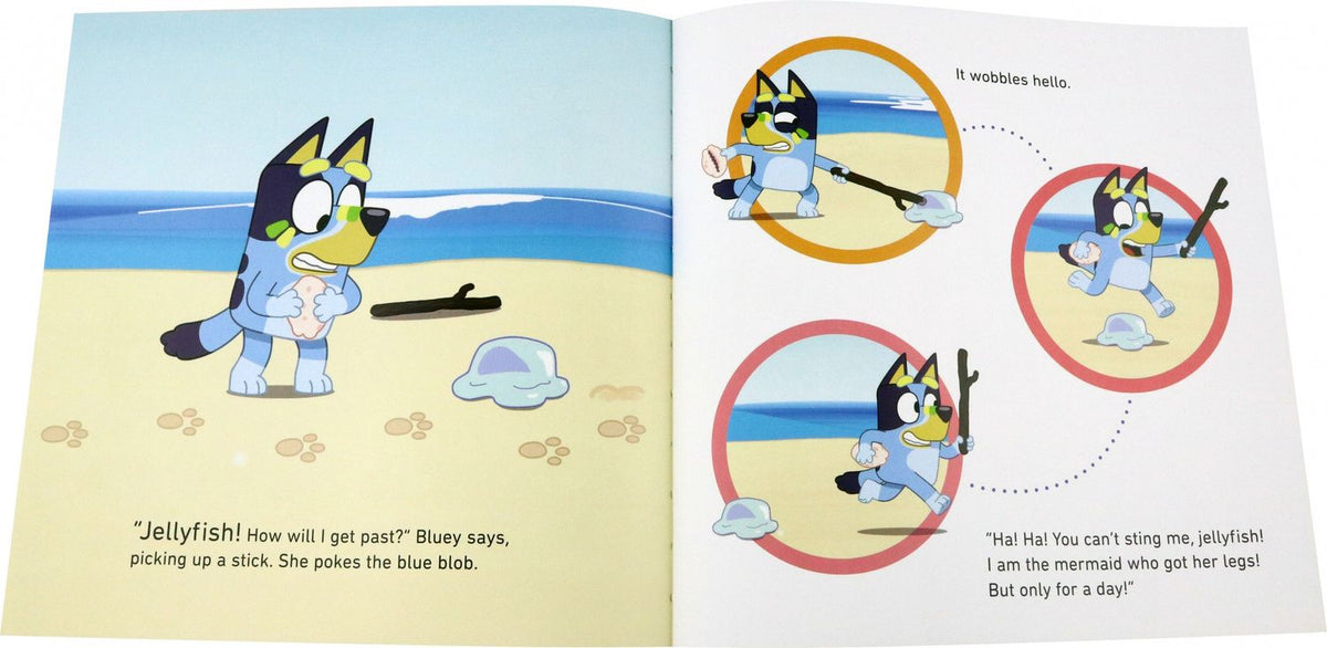 Bluey. The Beach