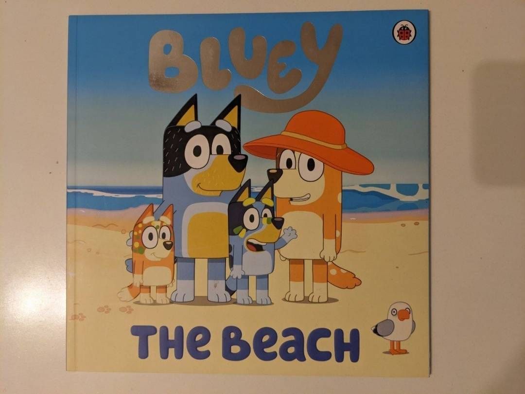 Bluey. The Beach