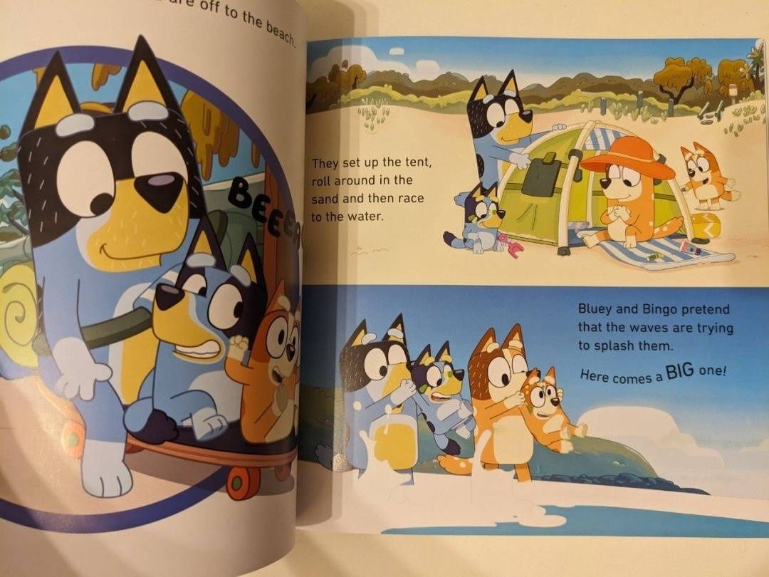 Bluey. The Beach