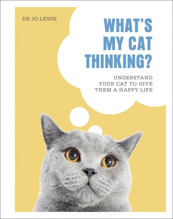 Jo Lewis: What`s My Cat Thinking?