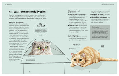 Jo Lewis: What`s My Cat Thinking?