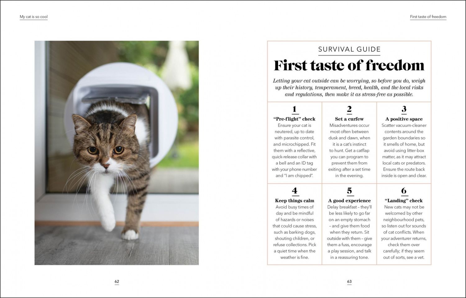 Jo Lewis: What`s My Cat Thinking?