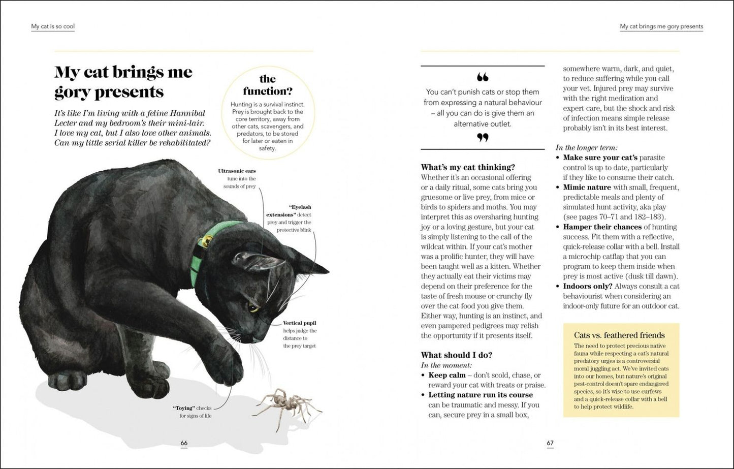 Jo Lewis: What`s My Cat Thinking?