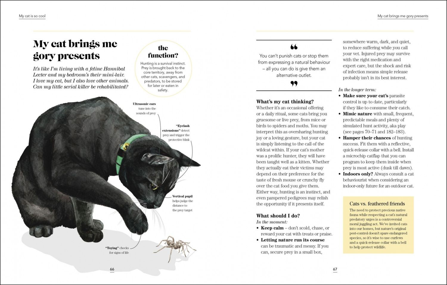 Jo Lewis: What`s My Cat Thinking?