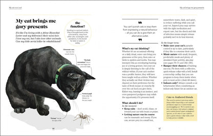 Jo Lewis: What`s My Cat Thinking?