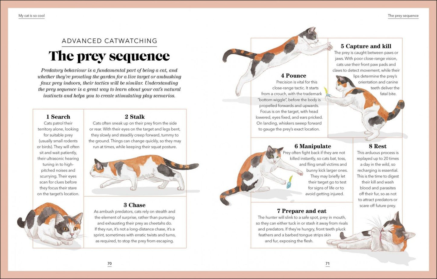 Jo Lewis: What`s My Cat Thinking?