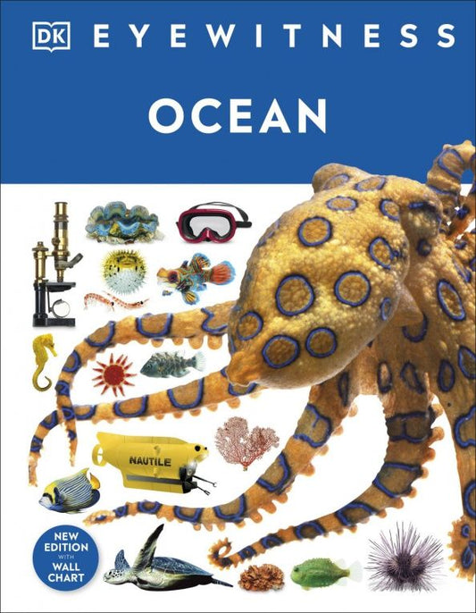 Miranda Macquitty: Ocean