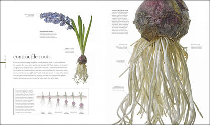 The Science of Plants. Inside their Secret World