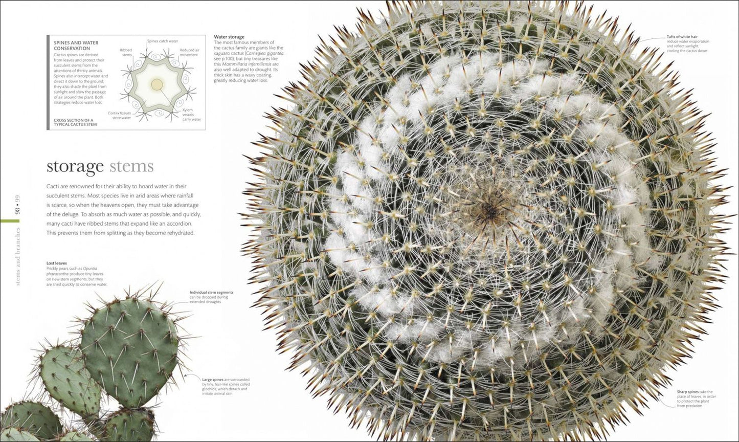The Science of Plants. Inside their Secret World