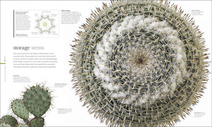 The Science of Plants. Inside their Secret World