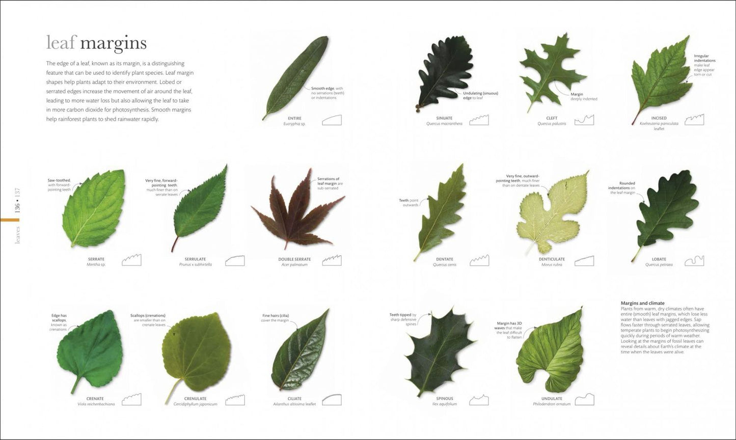 The Science of Plants. Inside their Secret World